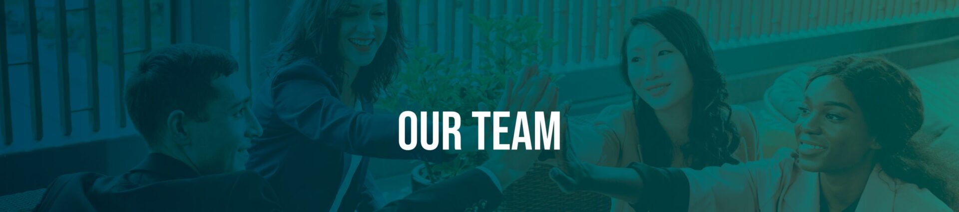 our team Our Team