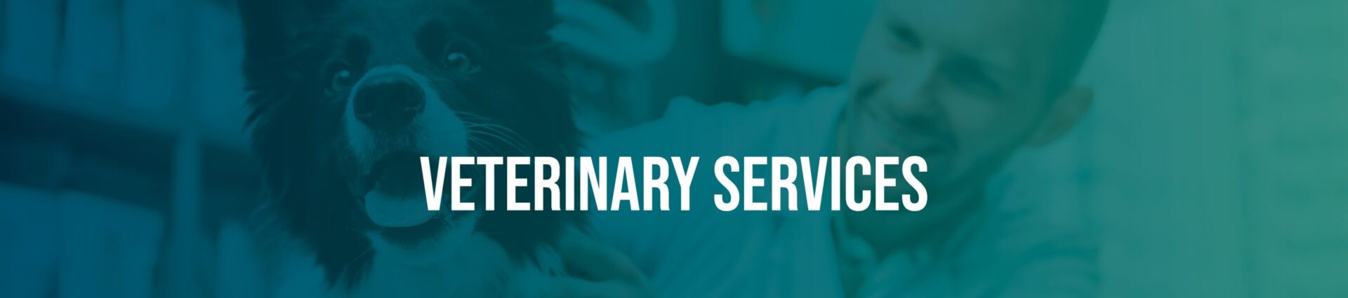 Veterinary Services
