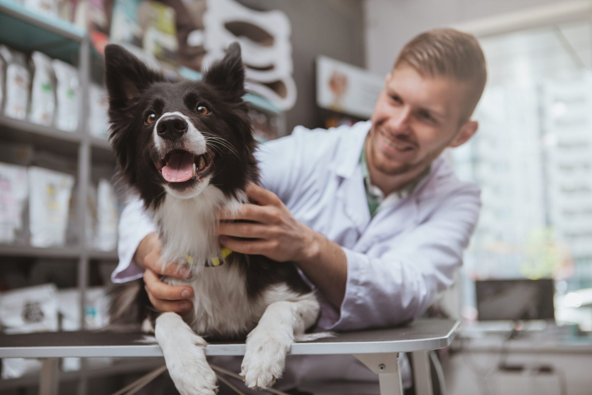 Handsome male veterinarian examining a doc Vet Holding Dog